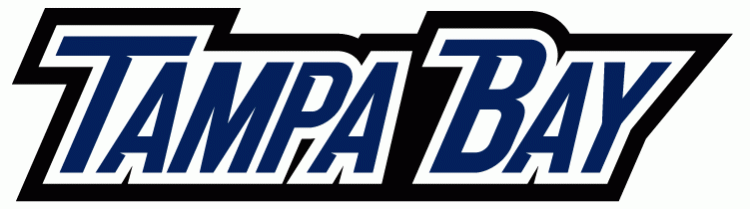 Tampa Bay Lightning 2007-2010 Wordmark Logo DIY iron on transfer (heat transfer)